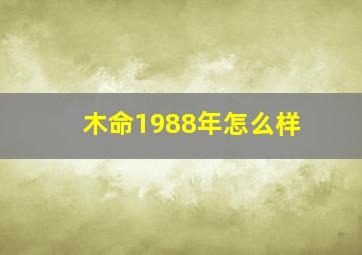 木命1988年怎么样