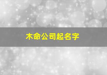 木命公司起名字