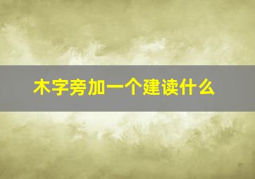 木字旁加一个建读什么