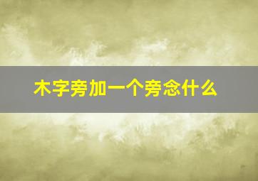 木字旁加一个旁念什么