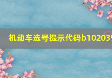 机动车选号提示代码b102039