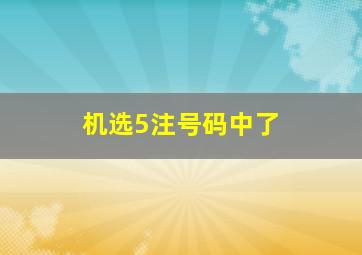 机选5注号码中了