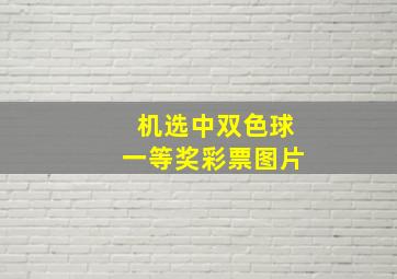 机选中双色球一等奖彩票图片