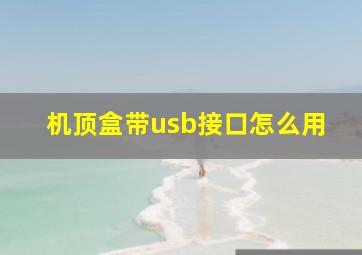 机顶盒带usb接口怎么用