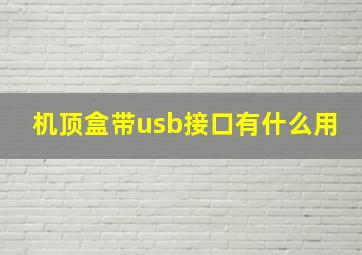 机顶盒带usb接口有什么用