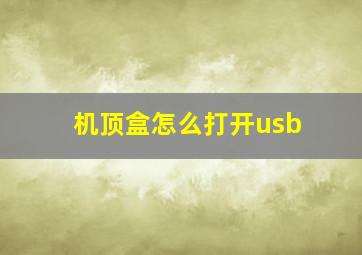 机顶盒怎么打开usb