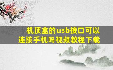 机顶盒的usb接口可以连接手机吗视频教程下载