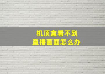 机顶盒看不到直播画面怎么办