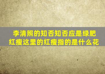 李清照的知否知否应是绿肥红瘦这里的红瘦指的是什么花