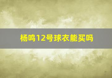 杨鸣12号球衣能买吗