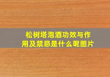 松树塔泡酒功效与作用及禁忌是什么呢图片