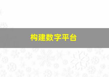 构建数字平台