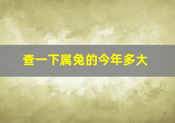 查一下属兔的今年多大