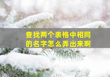 查找两个表格中相同的名字怎么弄出来啊