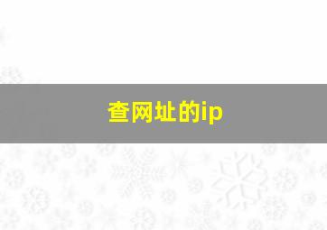 查网址的ip