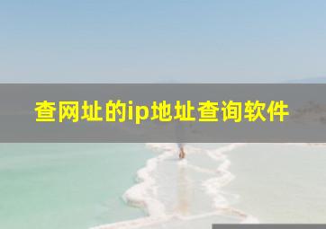 查网址的ip地址查询软件