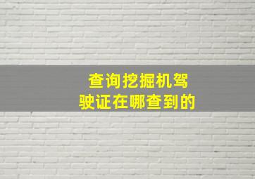 查询挖掘机驾驶证在哪查到的