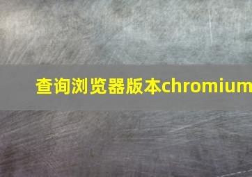 查询浏览器版本chromium