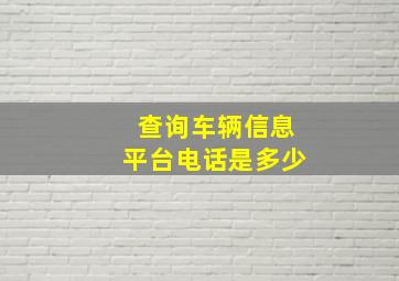 查询车辆信息平台电话是多少