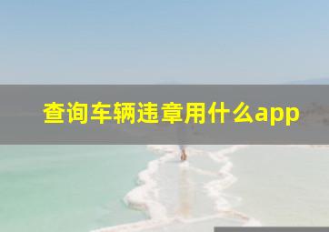 查询车辆违章用什么app