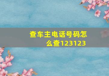 查车主电话号码怎么查123123