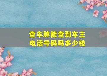 查车牌能查到车主电话号码吗多少钱