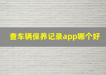 查车辆保养记录app哪个好