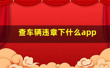 查车辆违章下什么app