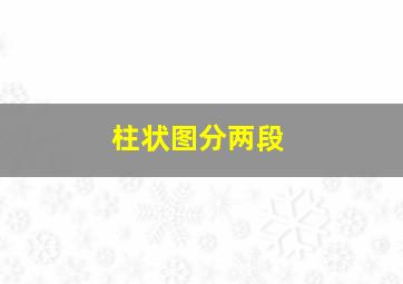 柱状图分两段