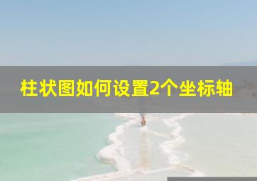 柱状图如何设置2个坐标轴