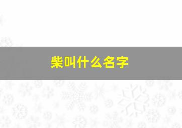 柴叫什么名字