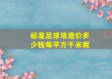 标准足球场造价多少钱每平方千米呢