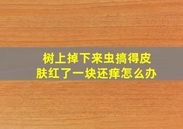 树上掉下来虫搞得皮肤红了一块还痒怎么办