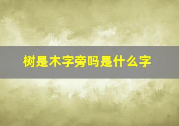 树是木字旁吗是什么字