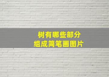 树有哪些部分组成简笔画图片