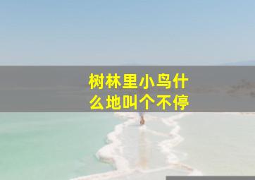 树林里小鸟什么地叫个不停