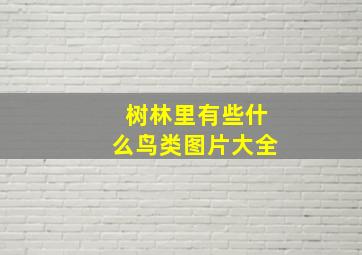 树林里有些什么鸟类图片大全