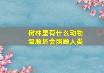 树林里有什么动物温顺还会照顾人类