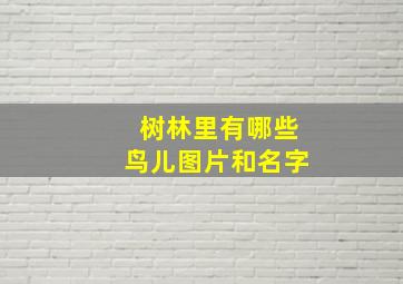 树林里有哪些鸟儿图片和名字