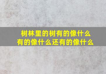 树林里的树有的像什么有的像什么还有的像什么