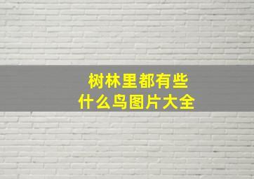 树林里都有些什么鸟图片大全