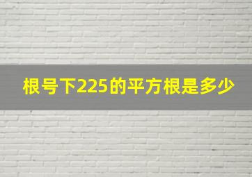 根号下225的平方根是多少