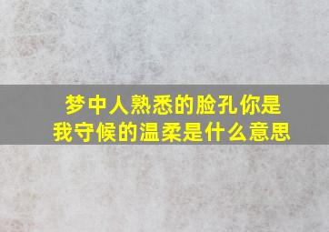 梦中人熟悉的脸孔你是我守候的温柔是什么意思