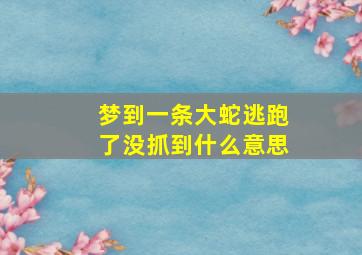 梦到一条大蛇逃跑了没抓到什么意思