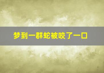 梦到一群蛇被咬了一口