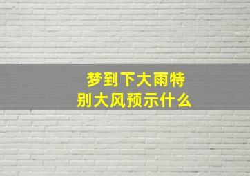 梦到下大雨特别大风预示什么