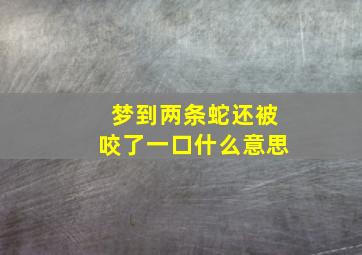 梦到两条蛇还被咬了一口什么意思