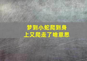 梦到小蛇爬到身上又爬走了啥意思