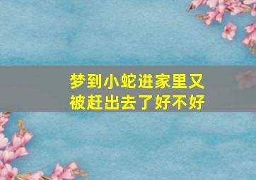 梦到小蛇进家里又被赶出去了好不好