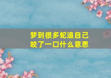 梦到很多蛇追自己咬了一口什么意思